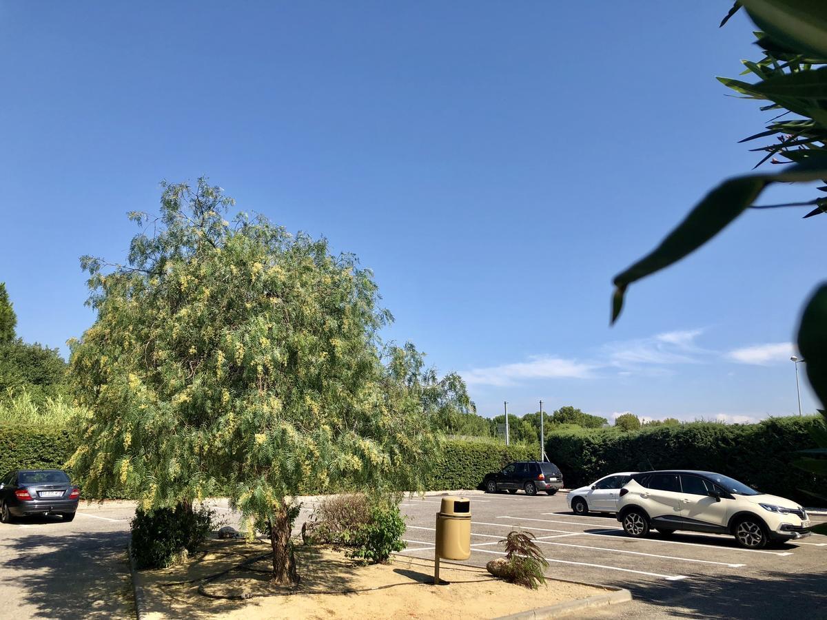 Premiere Classe Perpignan Sud Εξωτερικό φωτογραφία